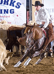 One Time Pepto - Cutting Horse Stallion